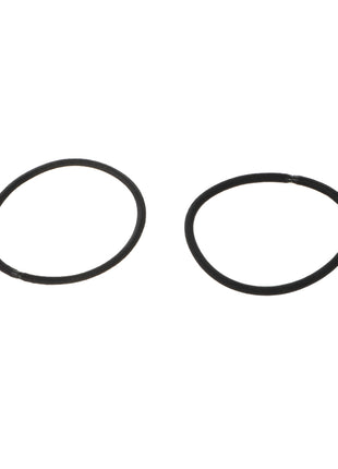 Black Hair Ties with Container (40 pcs)