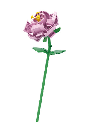 Multiflora Rose Building Blocks