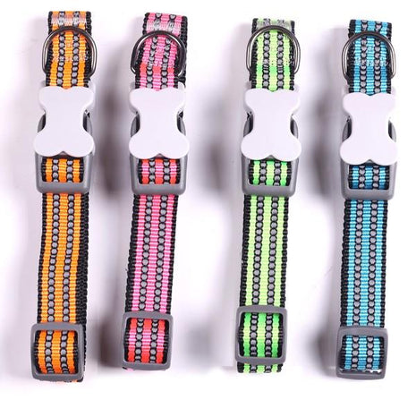 Dual reflective seat belts